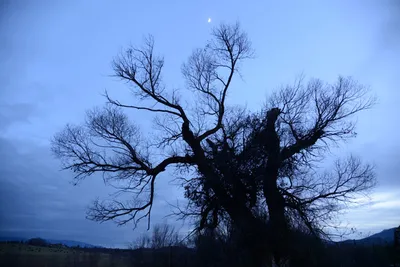 DSC_1126 (Large).JPG